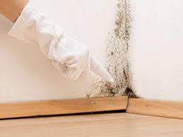  , USA Mold Remediation Pros